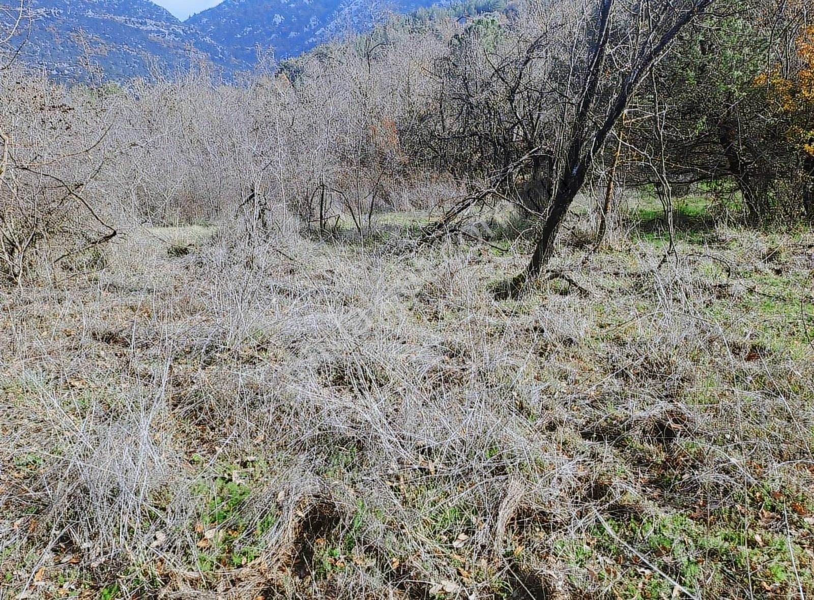 Antalya Akseki Mahmut Köyü De 662m Bağ Yeri Satılık Olup - Görsel 10