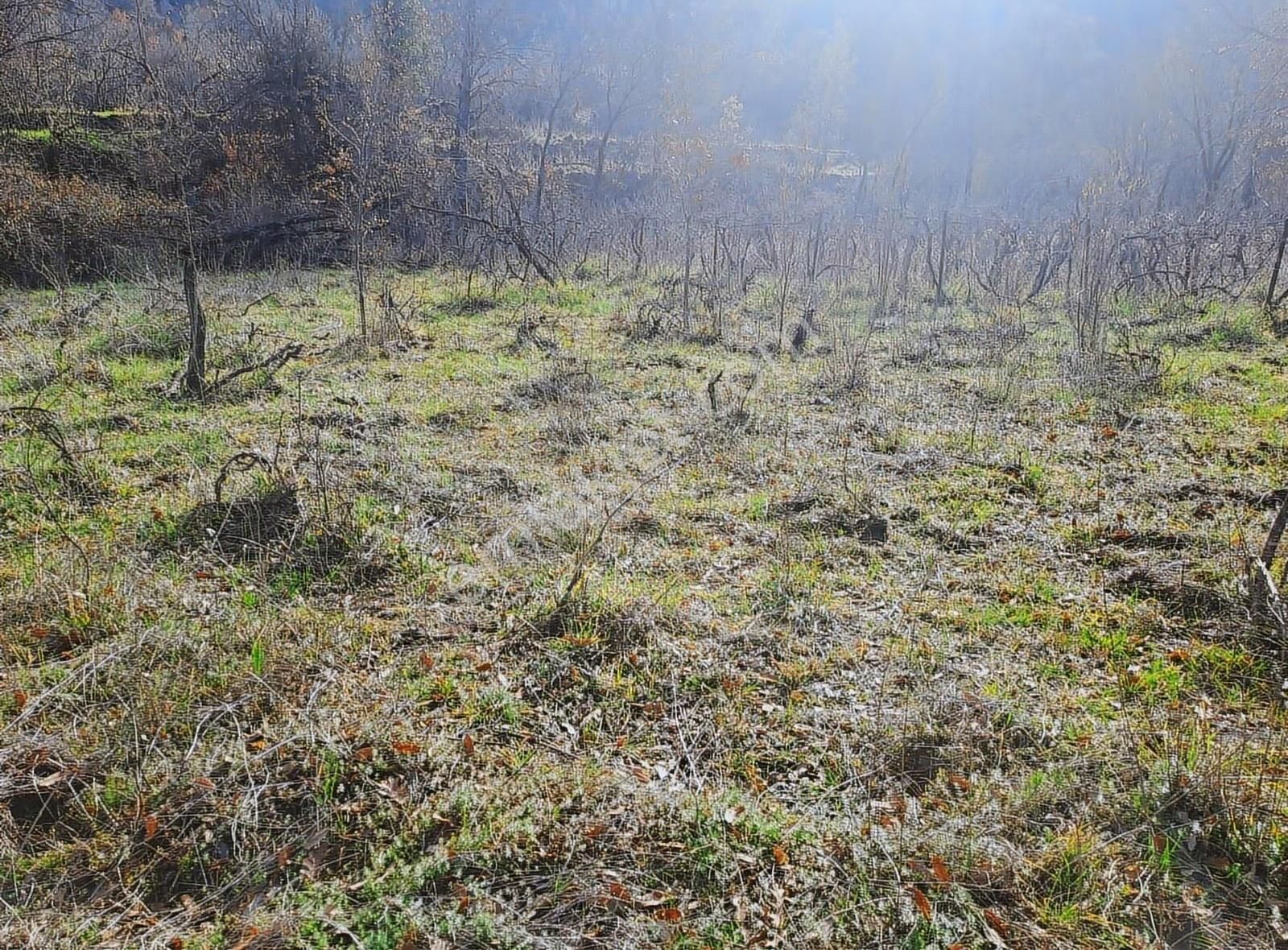 Antalya Akseki Mahmut Köyü De 662m Bağ Yeri Satılık Olup - Görsel 11