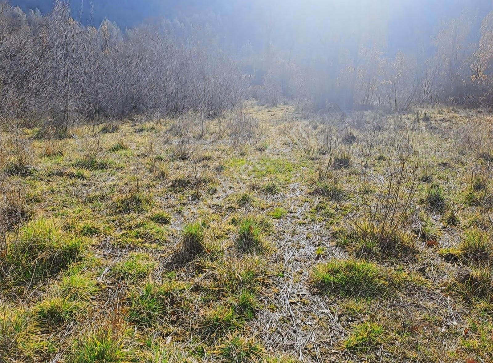 Antalya Akseki Mahmut Köyü De 662m Bağ Yeri Satılık Olup