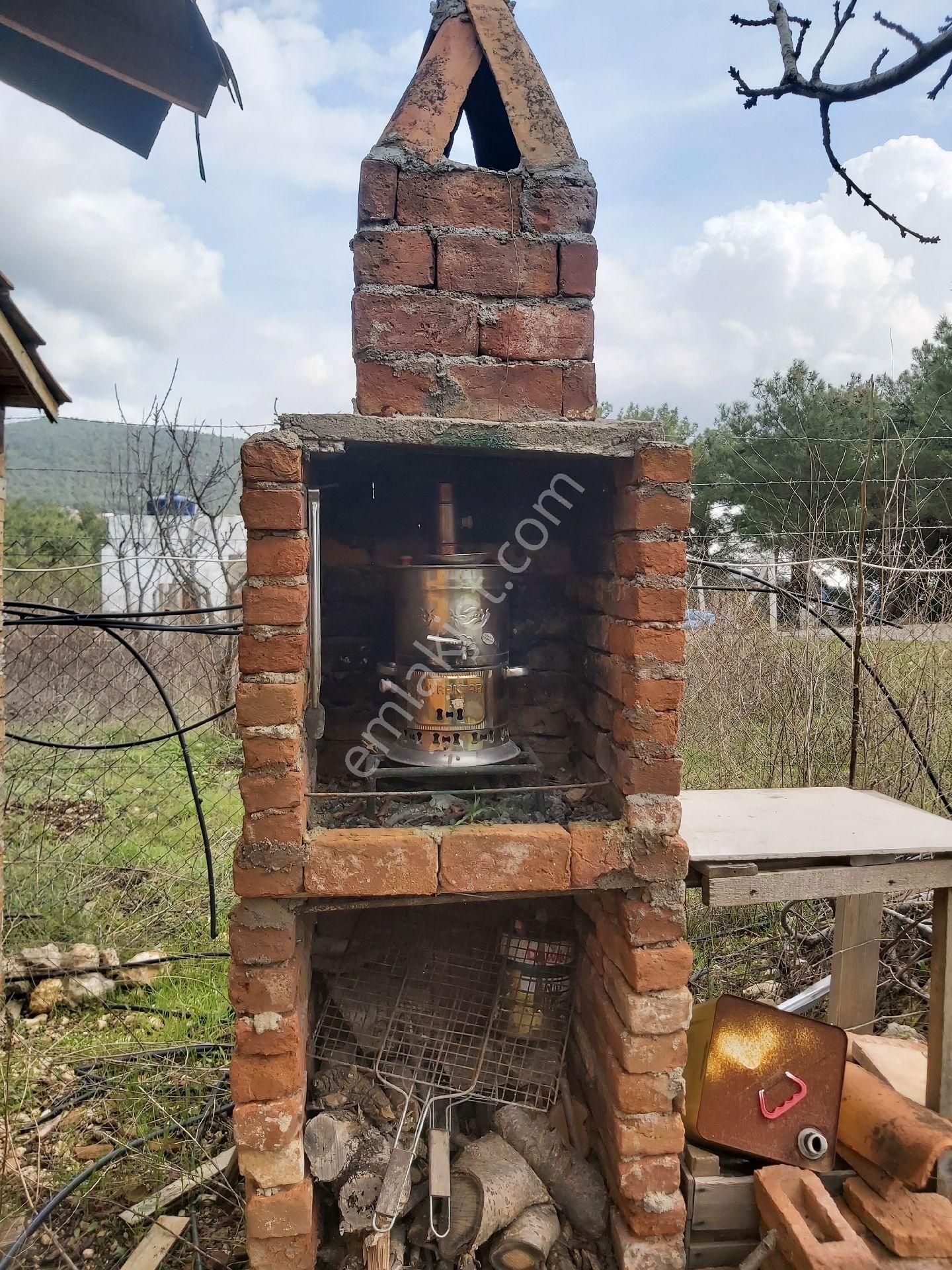 Yakaköy Cevizlibağ 1dönümbahçe - Görsel 7