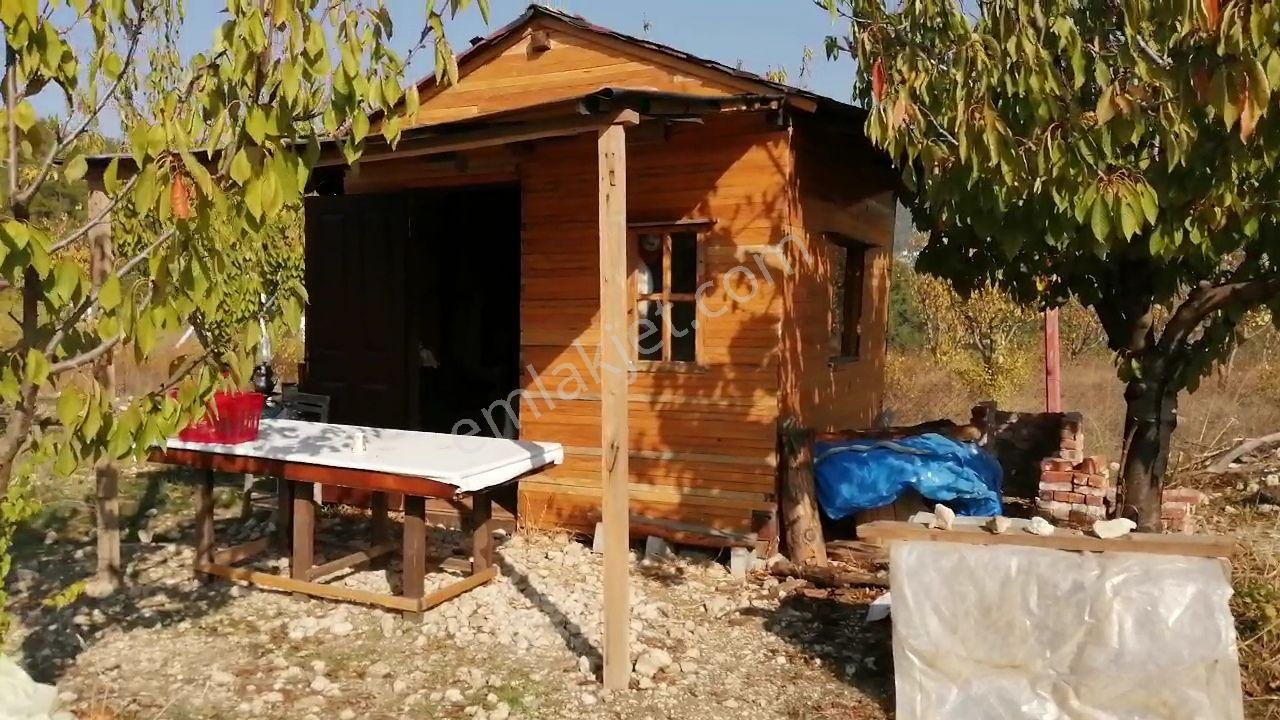 Yakaköy Cevizlibağ 1dönümbahçe