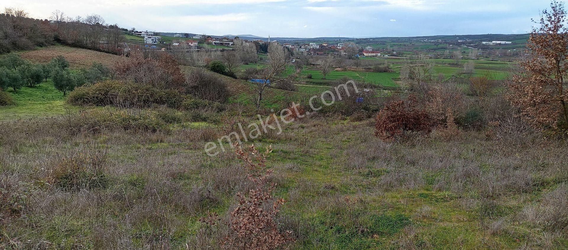 Bursa Nilüfer Çaylı Mahallesi Satılık 1.250 Mt2 Hisseli Tarla