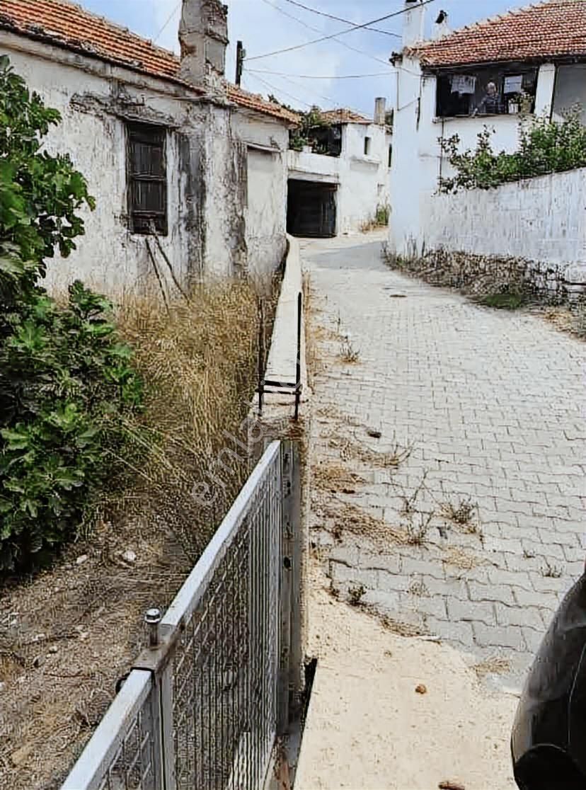 Milas Çam Köy Mah. Satılık Köy Evi - Görsel 2