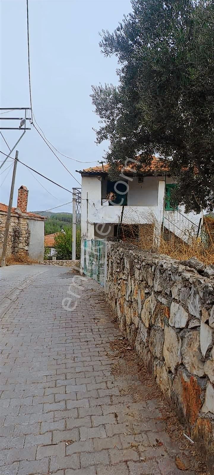 Milas Çam Köy Mah. Satılık Köy Evi - Görsel 9