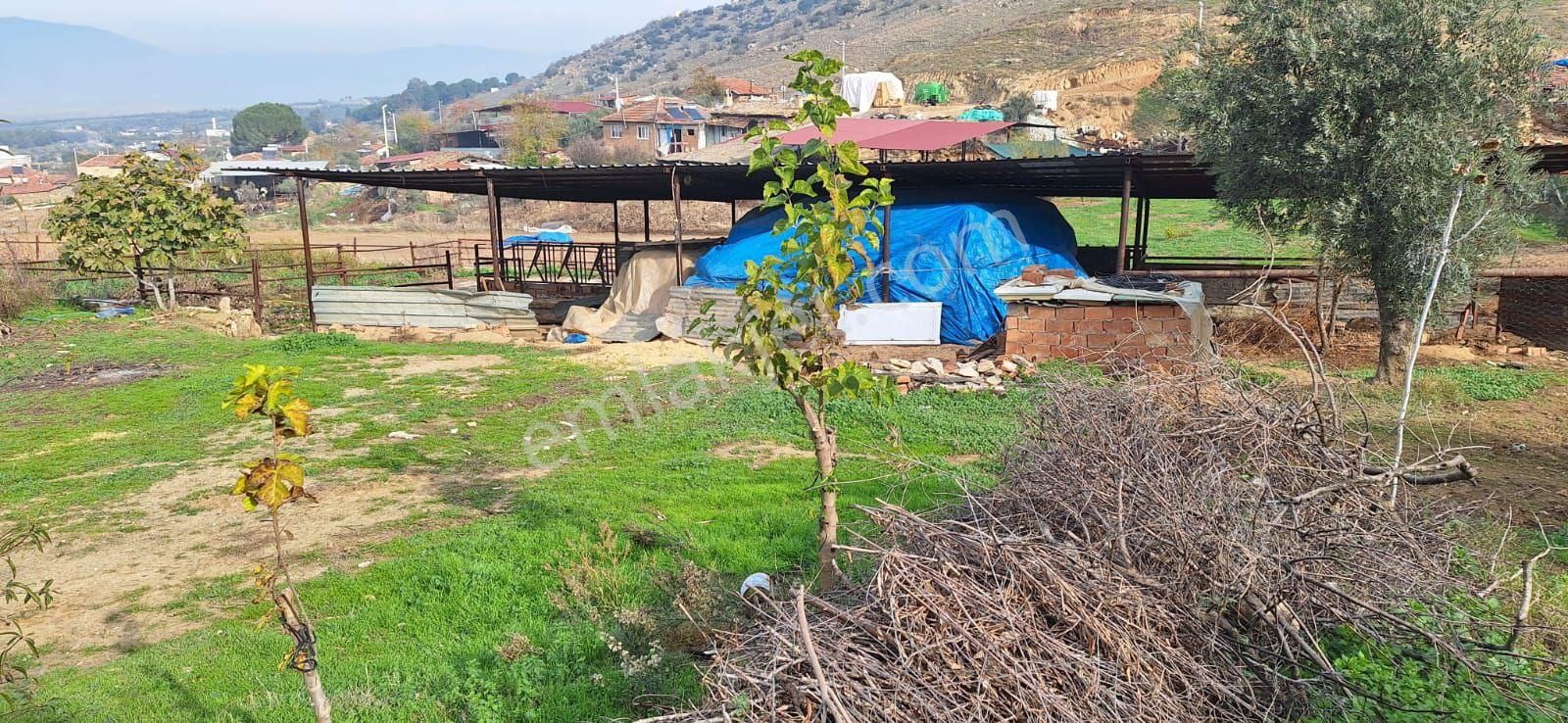 Toygarda 1300 M Köy İmarlı Ev Ve Damı Olan Bahçe - Görsel 19