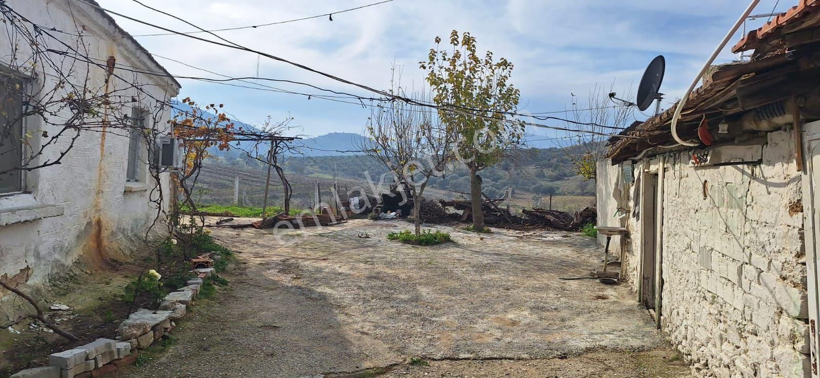 Toygarda 1300 M Köy İmarlı Ev Ve Damı Olan Bahçe - Görsel 15