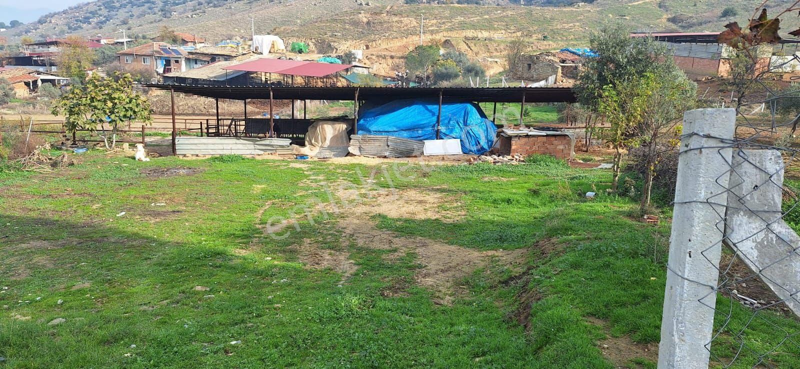 Toygarda 1300 M Köy İmarlı Ev Ve Damı Olan Bahçe - Görsel 7