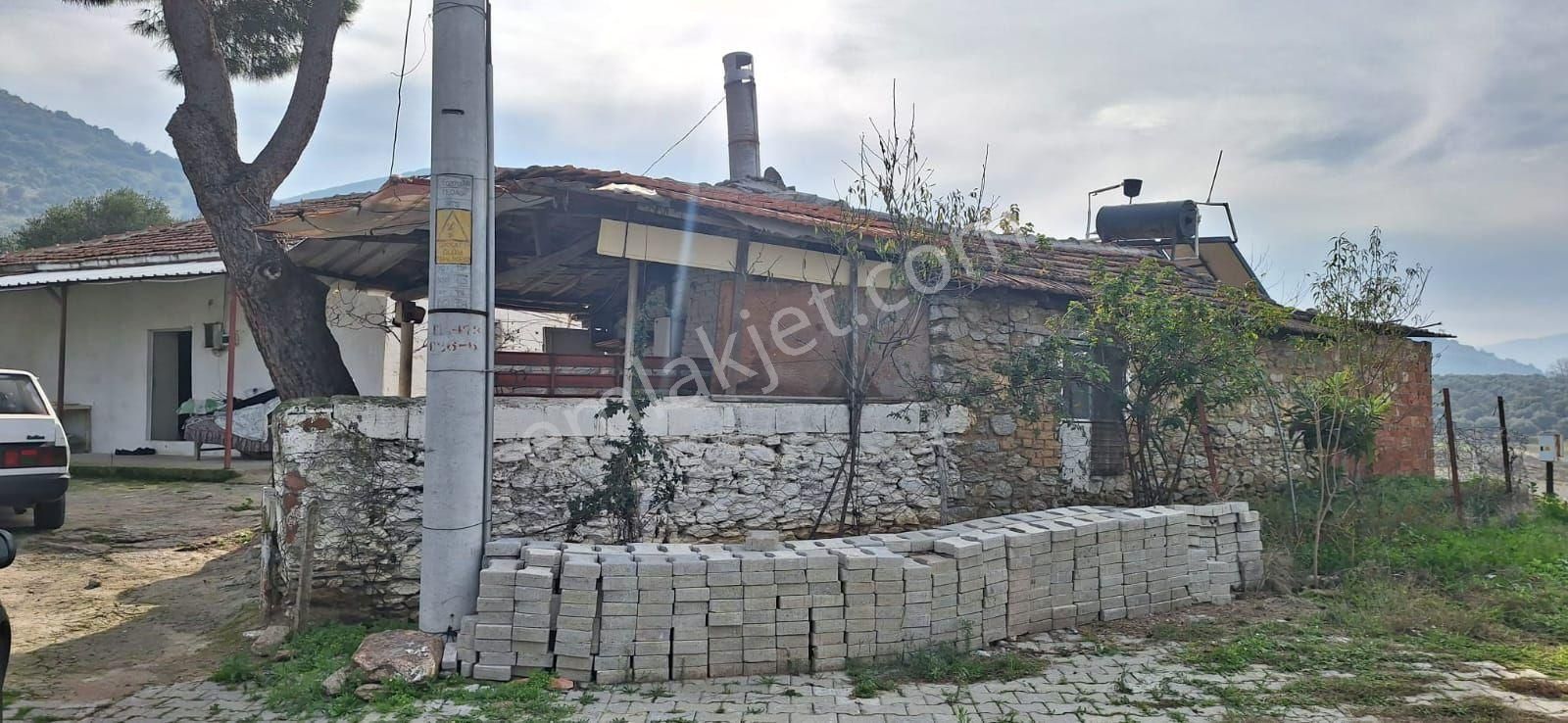 Toygarda 1300 M Köy İmarlı Ev Ve Damı Olan Bahçe - Görsel 4