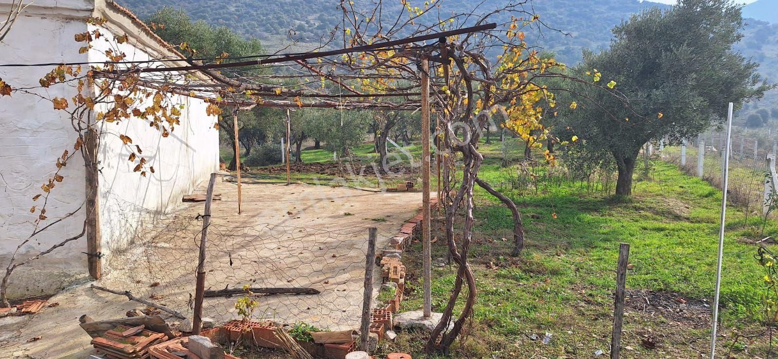 Toygarda 1300 M Köy İmarlı Ev Ve Damı Olan Bahçe - Görsel 13