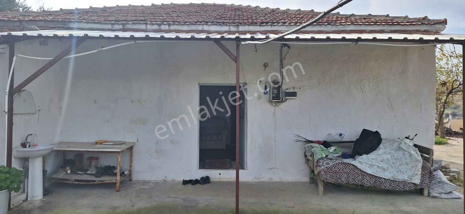 Toygarda 1300 M Köy İmarlı Ev Ve Damı Olan Bahçe - Görsel 3