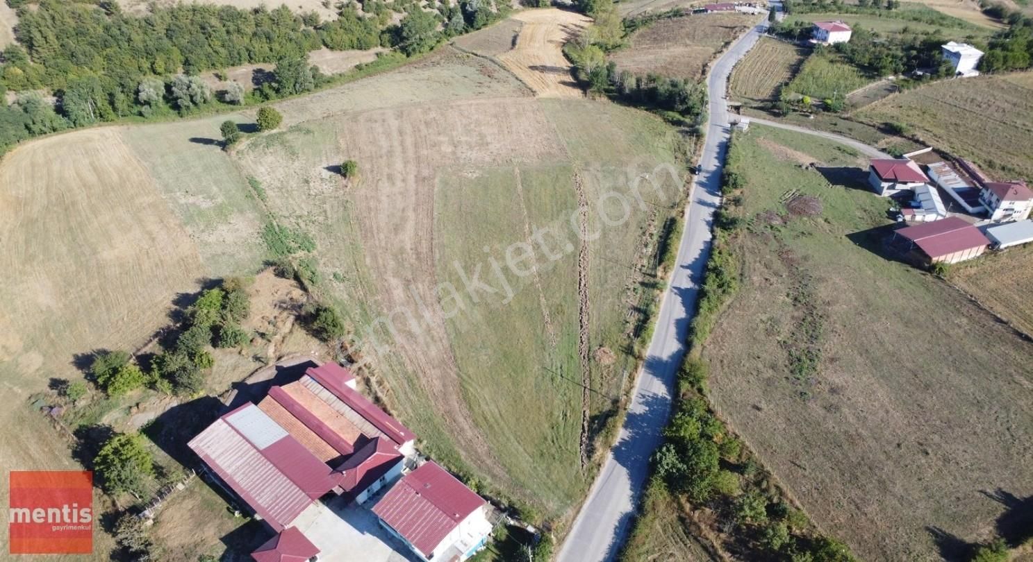 Mentis Gayrimenkul'den Atakum Sarıışık'ta Satılık Tarla - Görsel 3