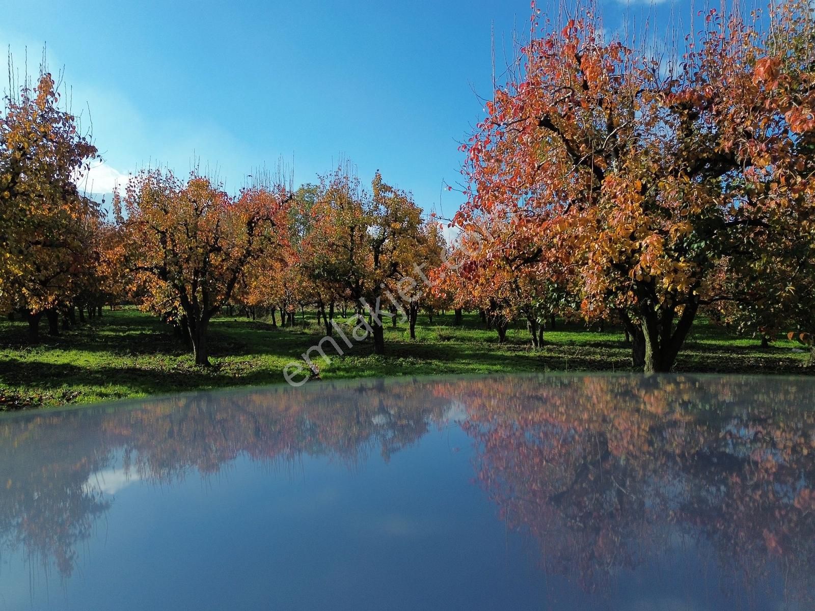 Dialog Prestij Samanlıda Kupon Tarla Gelecege Yatırım - Görsel 5