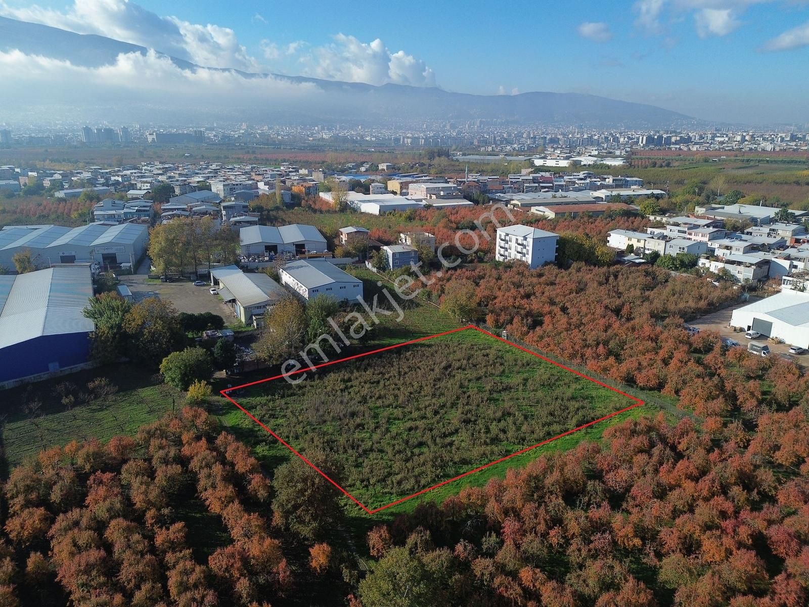 Dialog Prestij Samanlıda Kupon Tarla Gelecege Yatırım