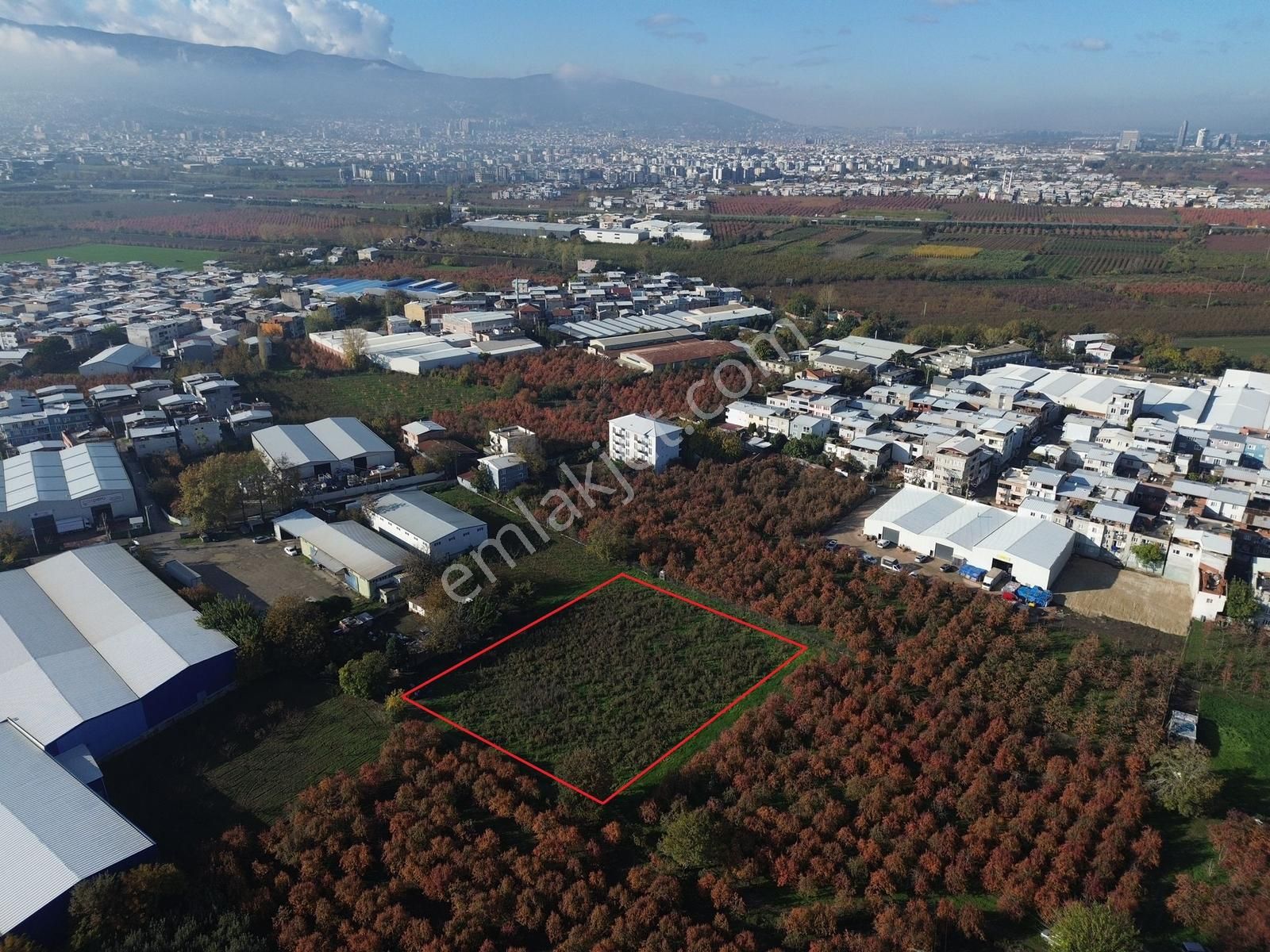 Dialog Prestij Samanlıda Kupon Tarla Gelecege Yatırım - Görsel 3