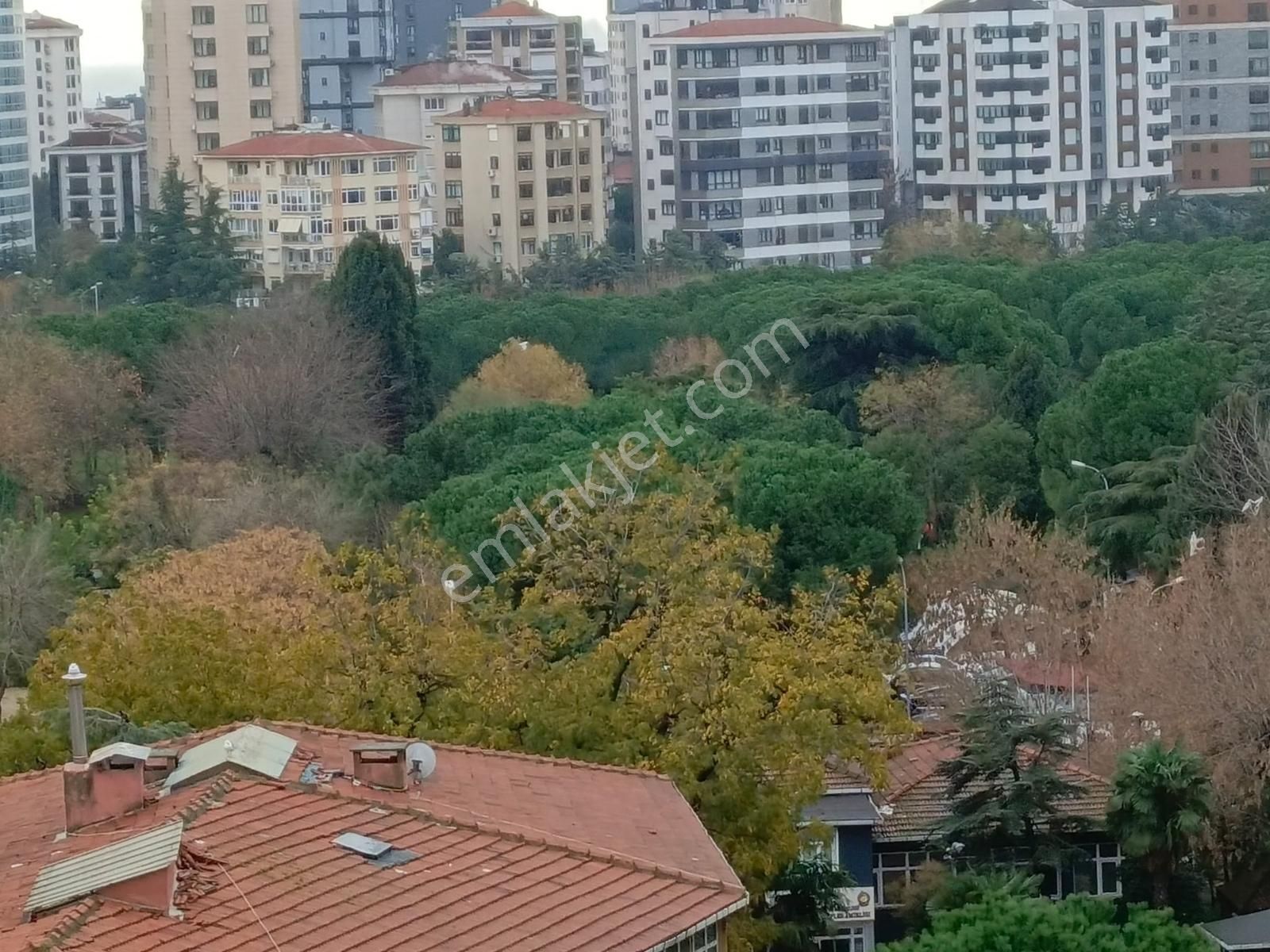 Özgürlüğün Yeşilliğini Gören Cephede, Sıfır,balkonlu, Ebeveynli