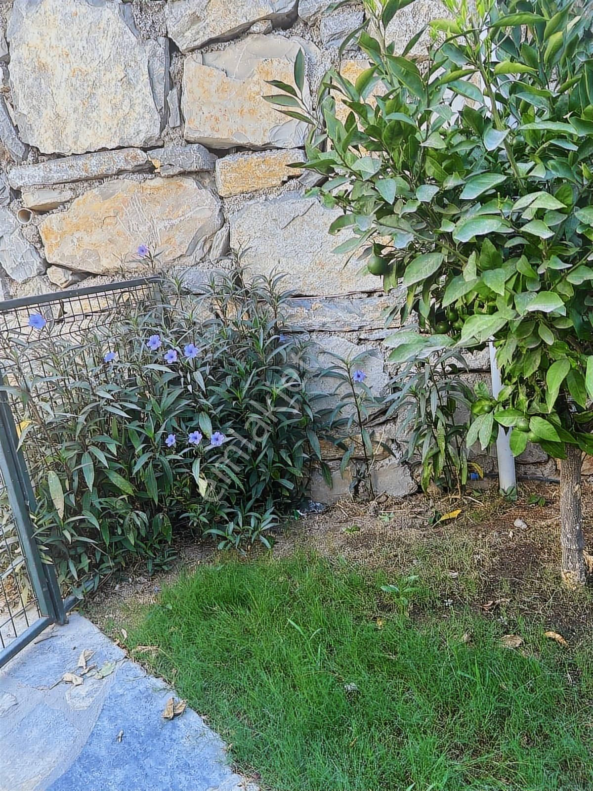 Bodrum Milas 1+1 Site İçi Bahçe Katı Manzaralı Satılık Daire - Görsel 4