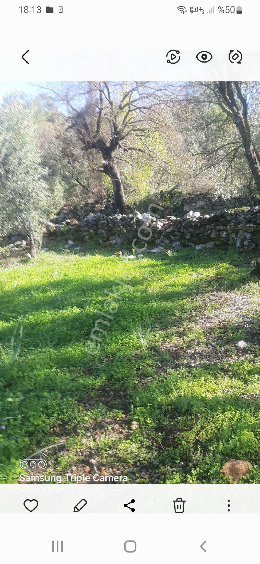 Ortaca Güzelyurt'da Satılık Yer - Görsel 4