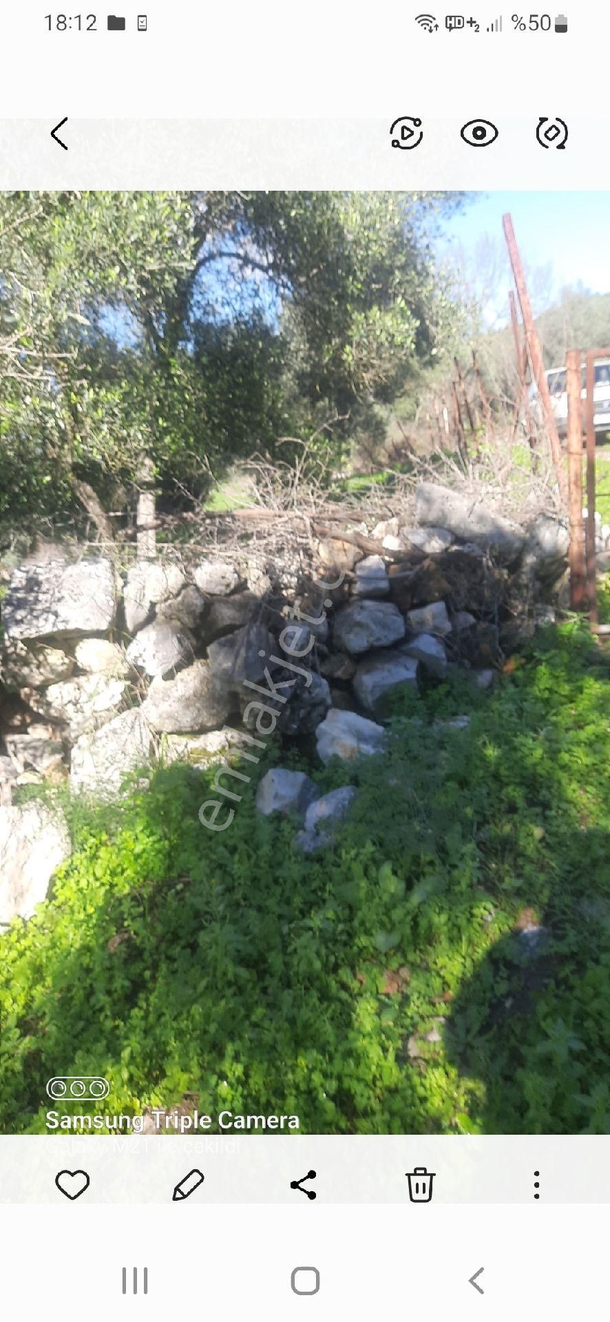 Ortaca Güzelyurt'da Satılık Yer - Görsel 11