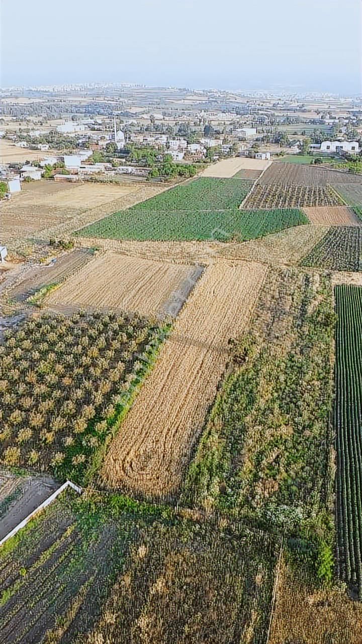 Bursa Mudanya Balabancık Bölgenin En Uygun M2 Fiyatı!!! - Görsel 10