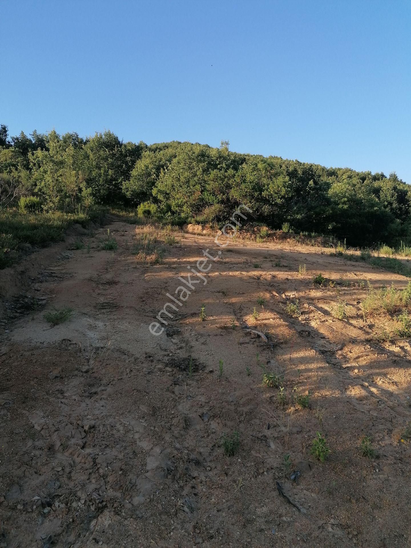 Acil Sahibinden Satılık Arsa - Görsel 4