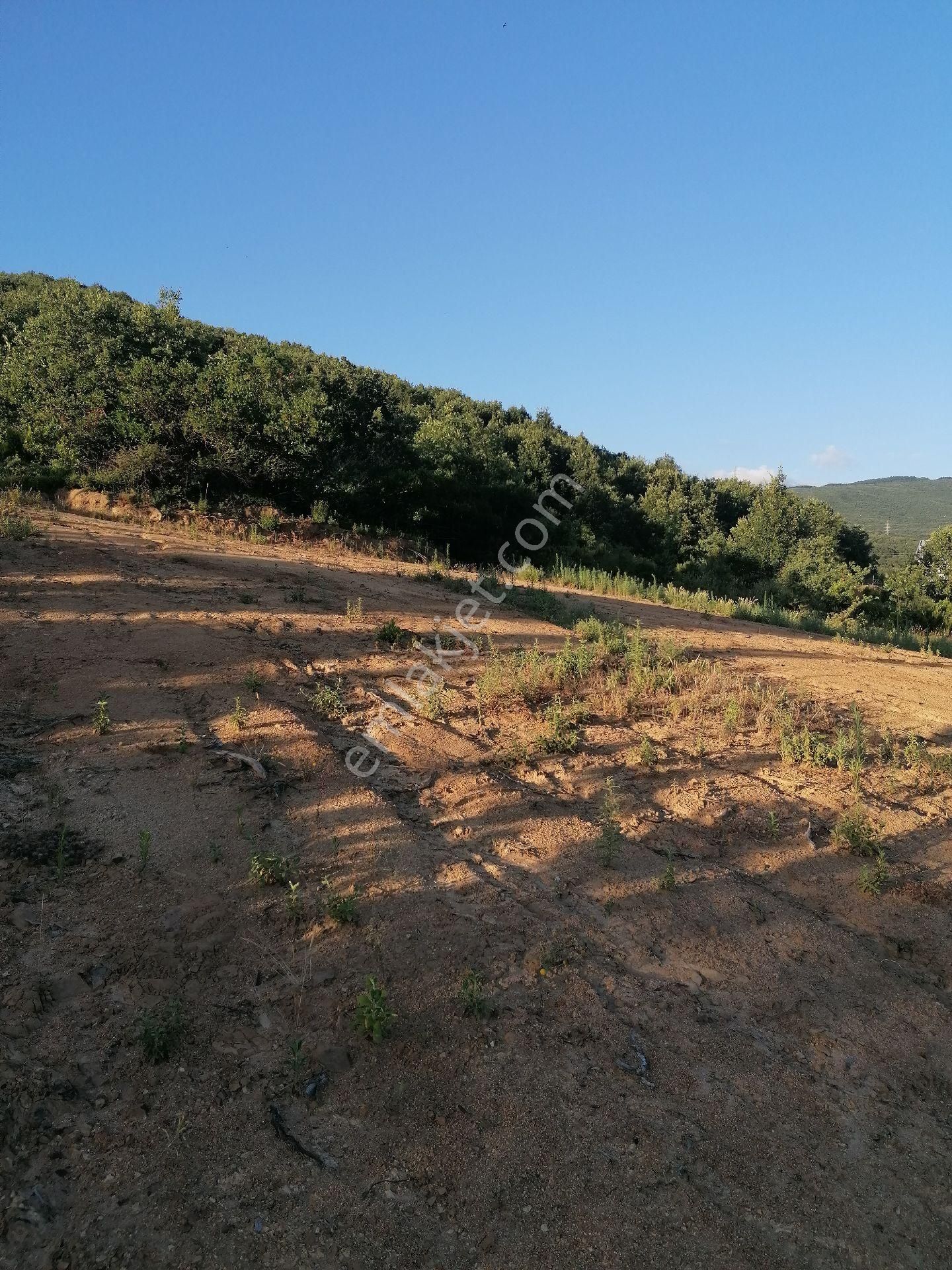 Acil Sahibinden Satılık Arsa - Görsel 3