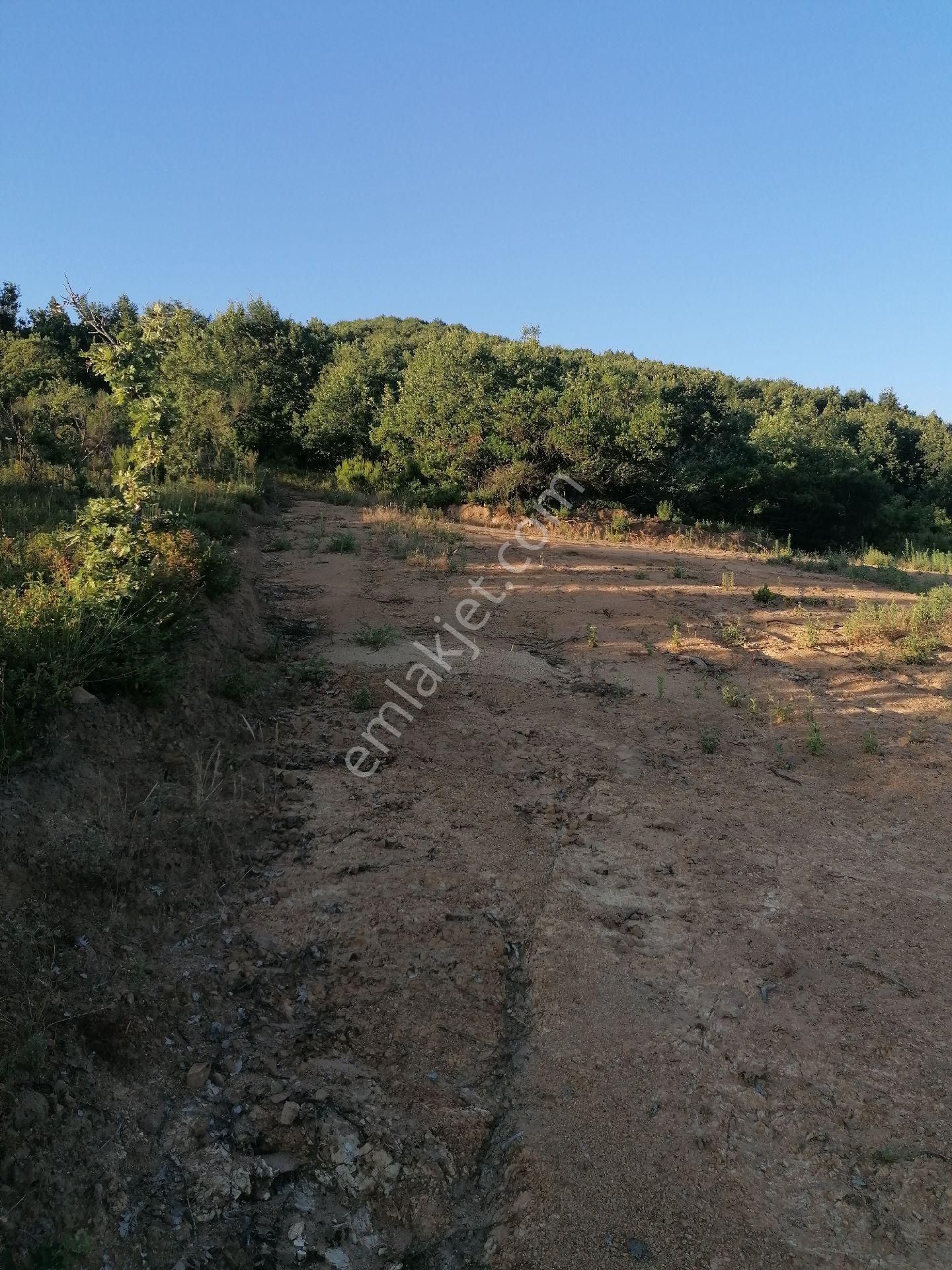 Acil Sahibinden Satılık Arsa - Görsel 13