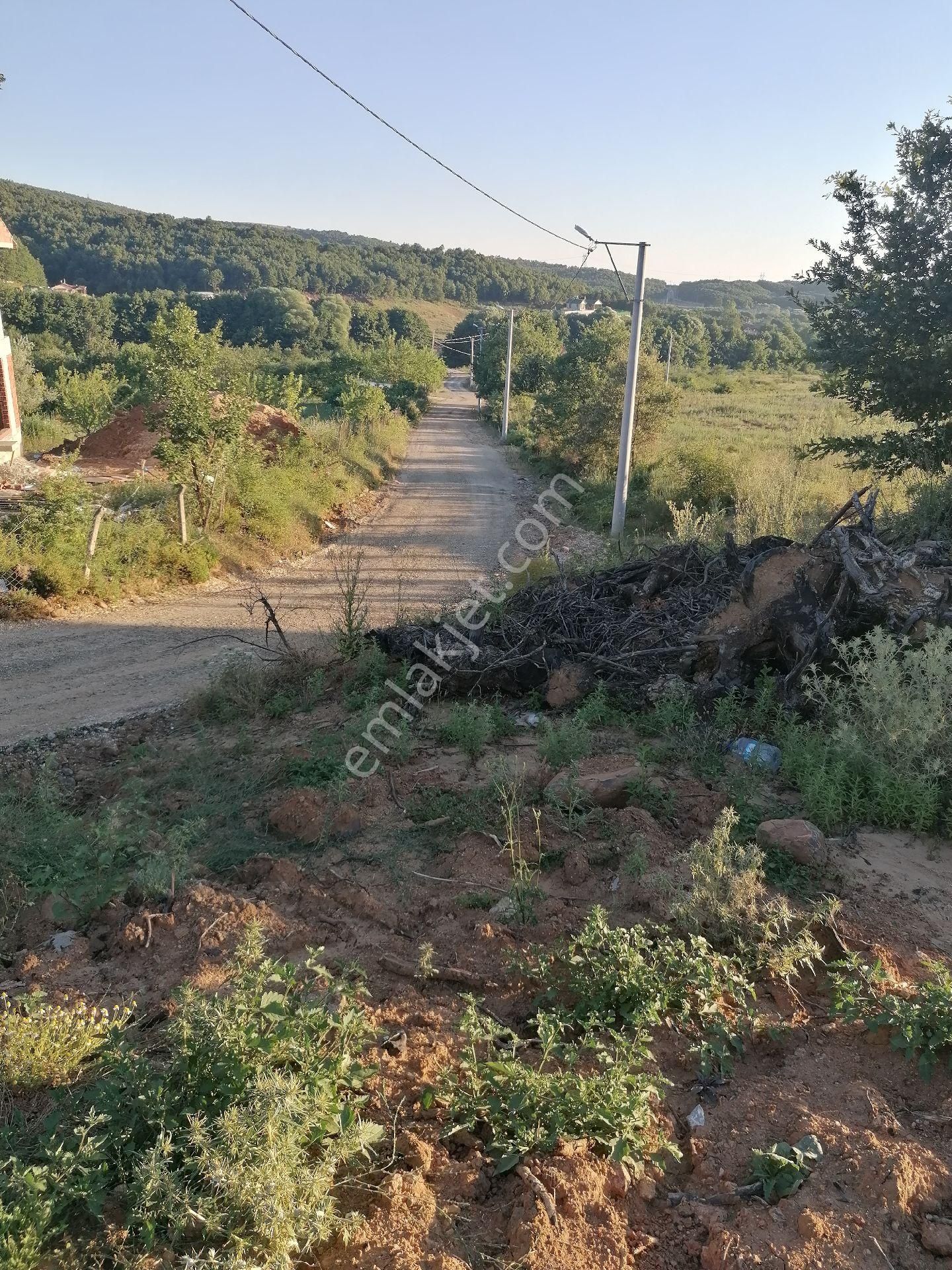 Acil Sahibinden Satılık Arsa - Görsel 2