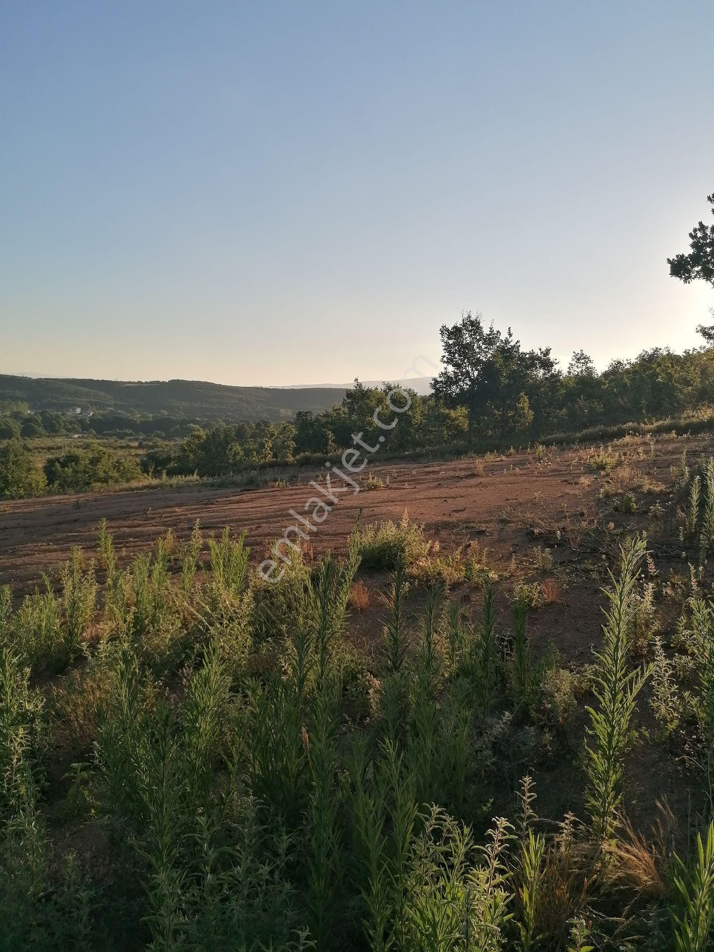 Acil Sahibinden Satılık Arsa - Görsel 10