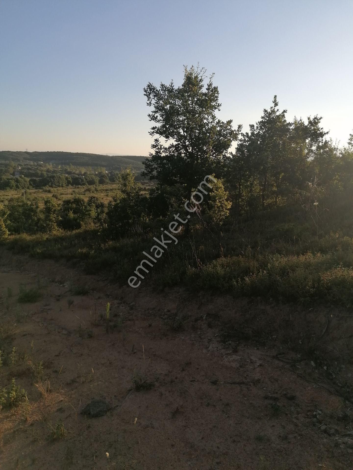 Acil Sahibinden Satılık Arsa - Görsel 6