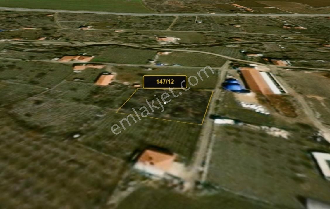 Truva'dan Çorum-merkez Altınbaş Köyü'nde 1543 M² Doğa İçinde Bağ - Görsel 8