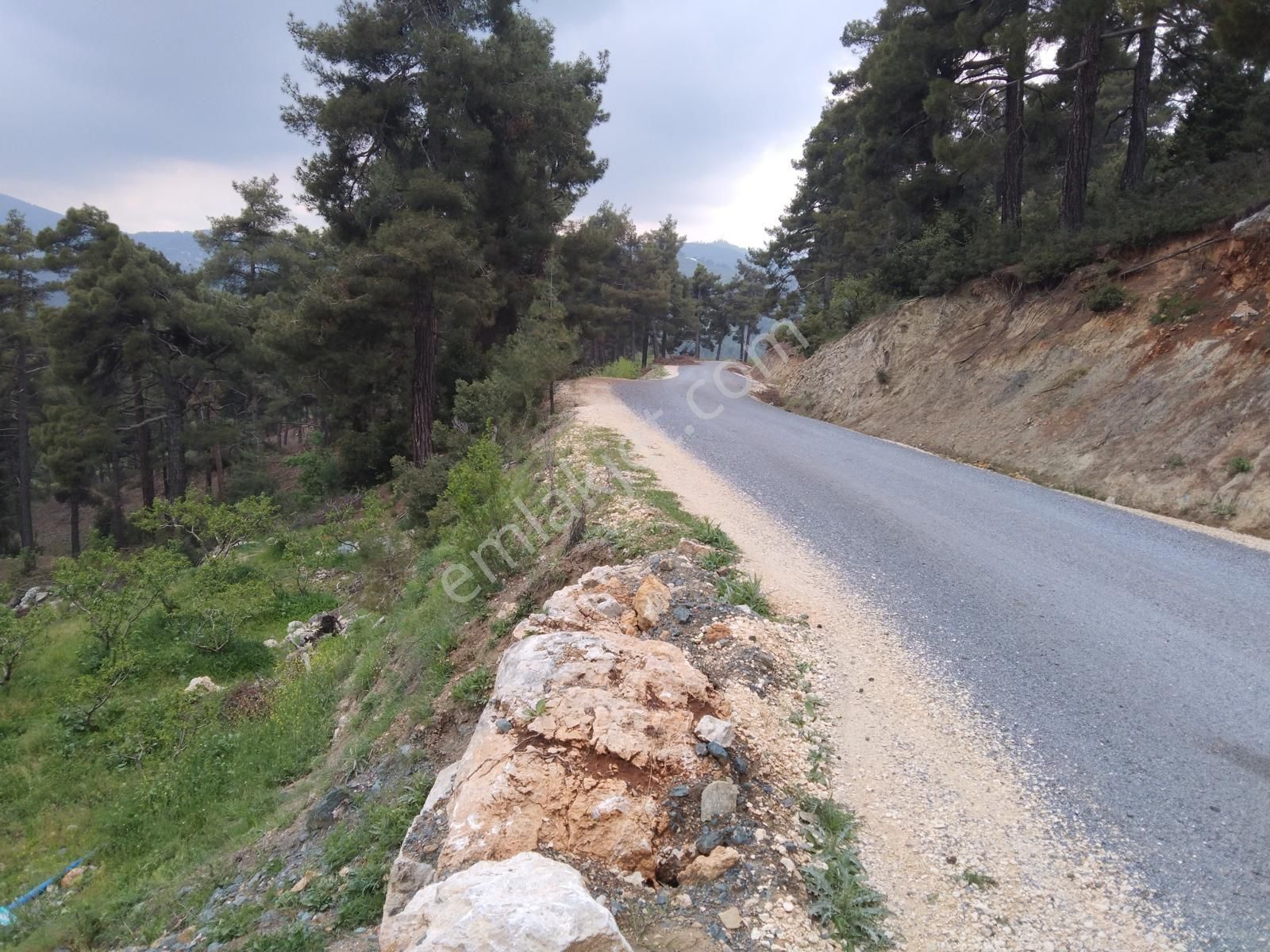 Mersin Evcilik De Şeftali Bahçesi - Görsel 2