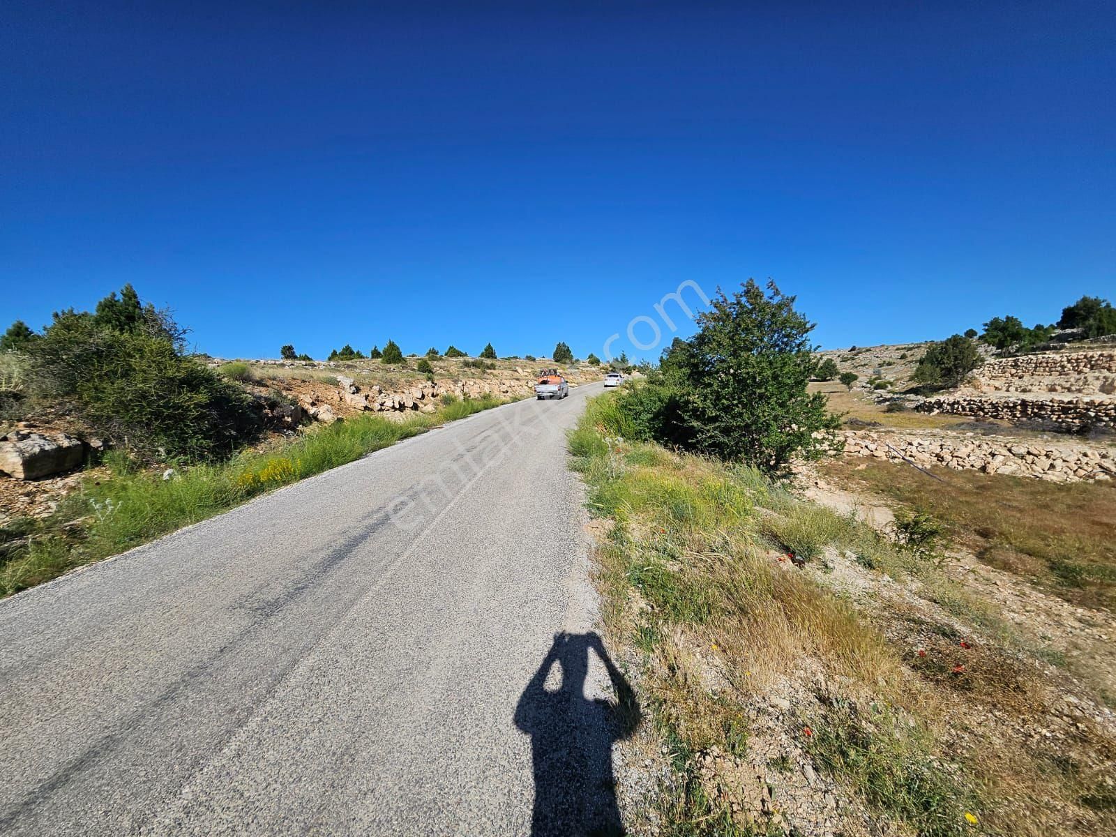 Mersin Evcilik De Şeftali Bahçesi - Görsel 6