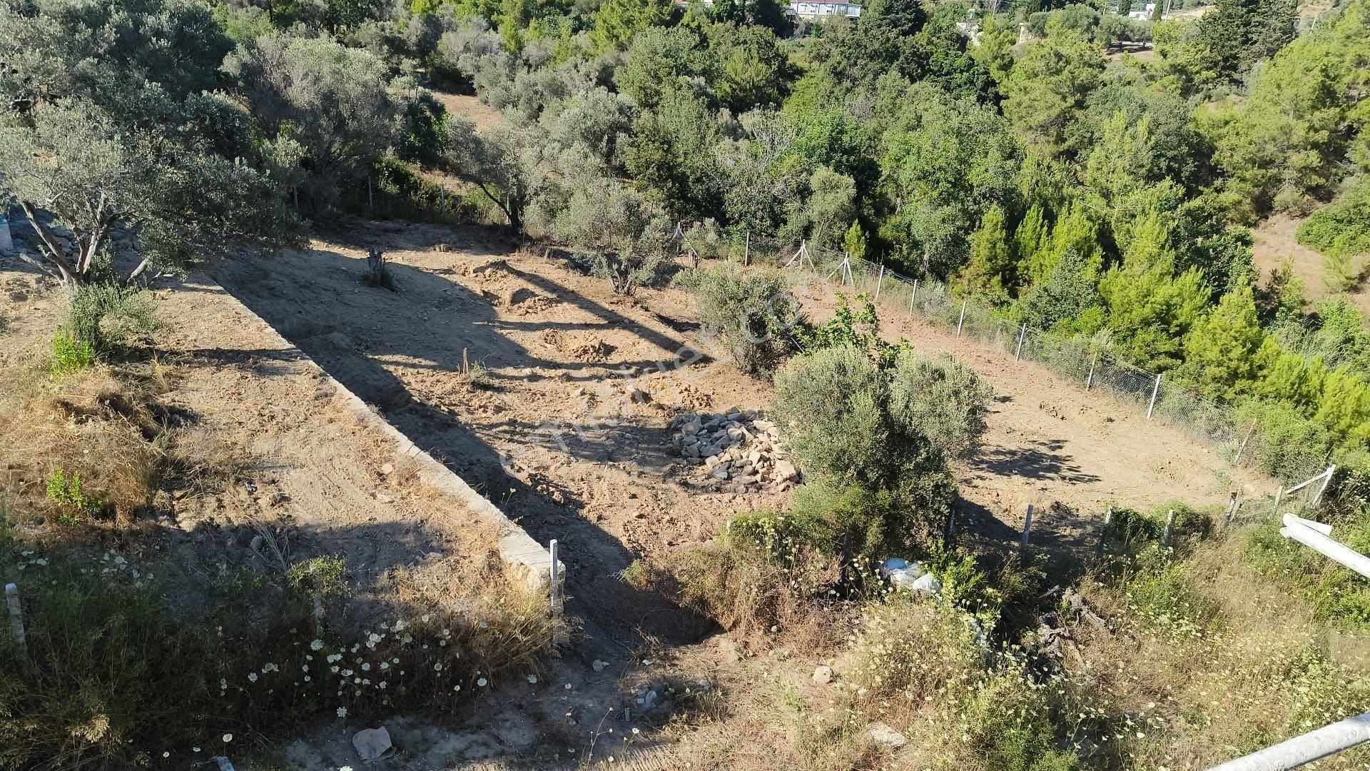 Manavgat Çavuşköy De Accıl Satılık - Görsel 9