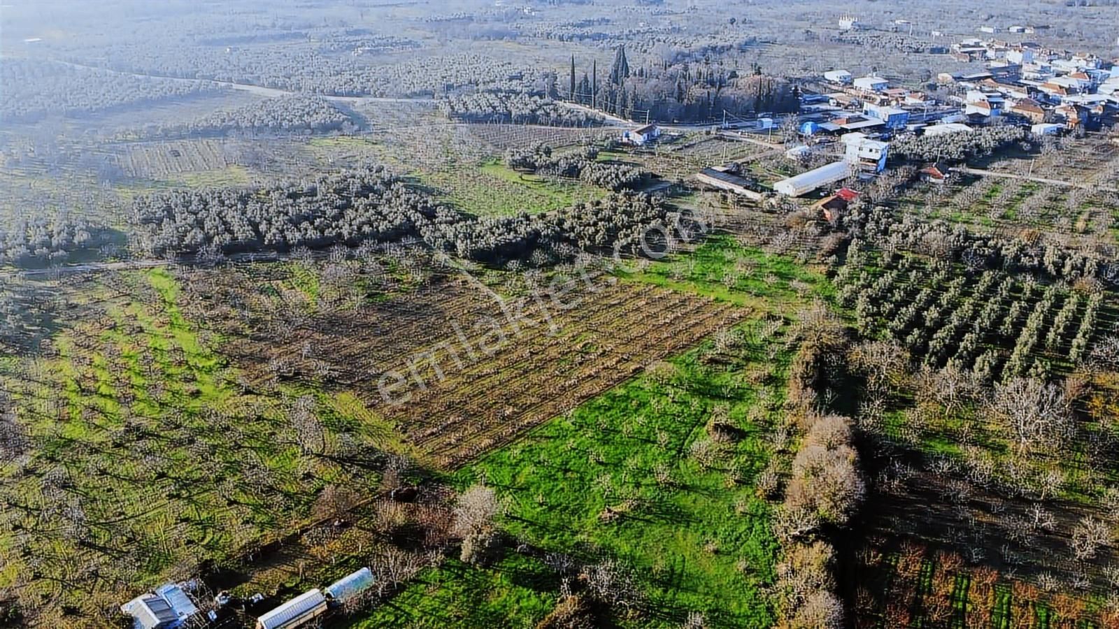 Nilüfer Fadıllı Tek Tapu 400 M2 Satılık Tarla Köyün Dibinde - Görsel 14