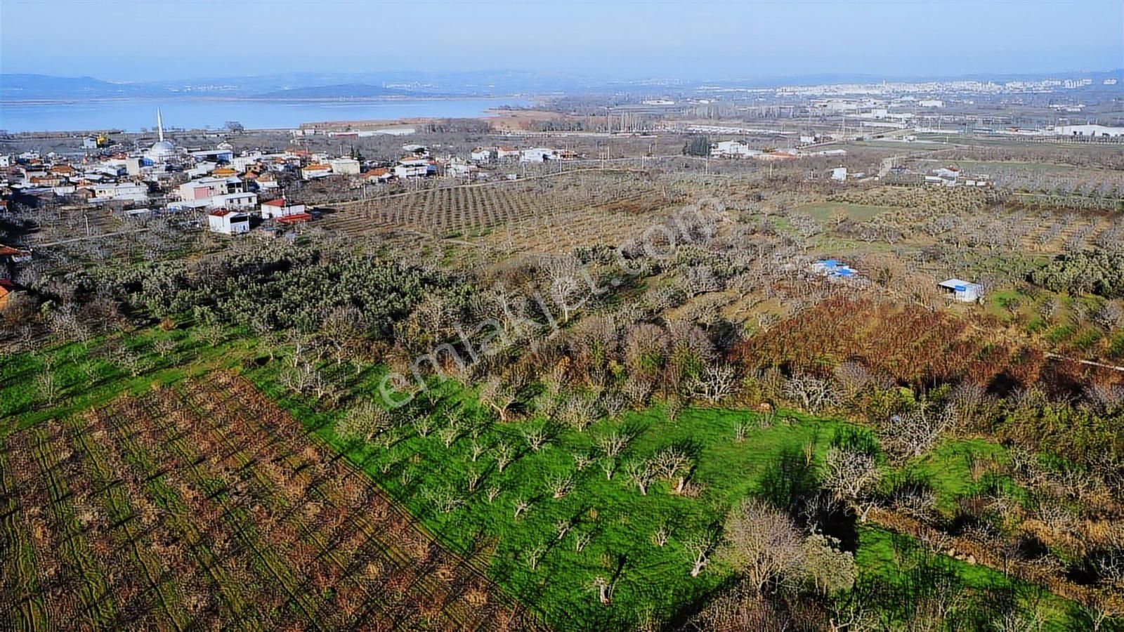 Nilüfer Fadıllı Tek Tapu 400 M2 Satılık Tarla Köyün Dibinde - Görsel 4