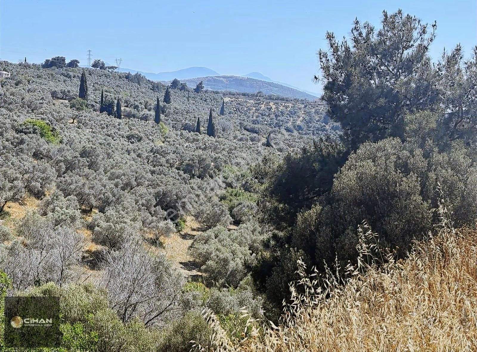 Aydın Yolu İmar Planı İçinde Deniz Manzaralı Arsa - Görsel 8