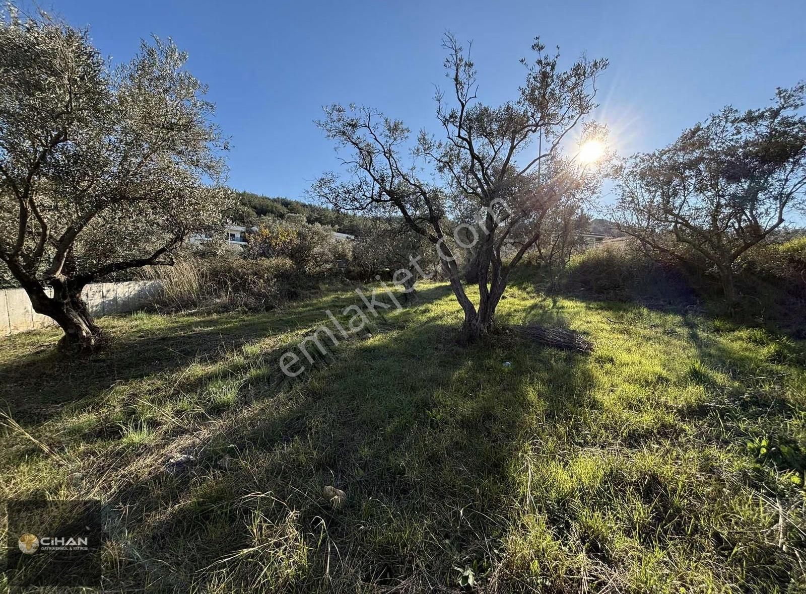 Davutlar Merkez Termal Bölge Tek Vıllalık Arsa - Görsel 12