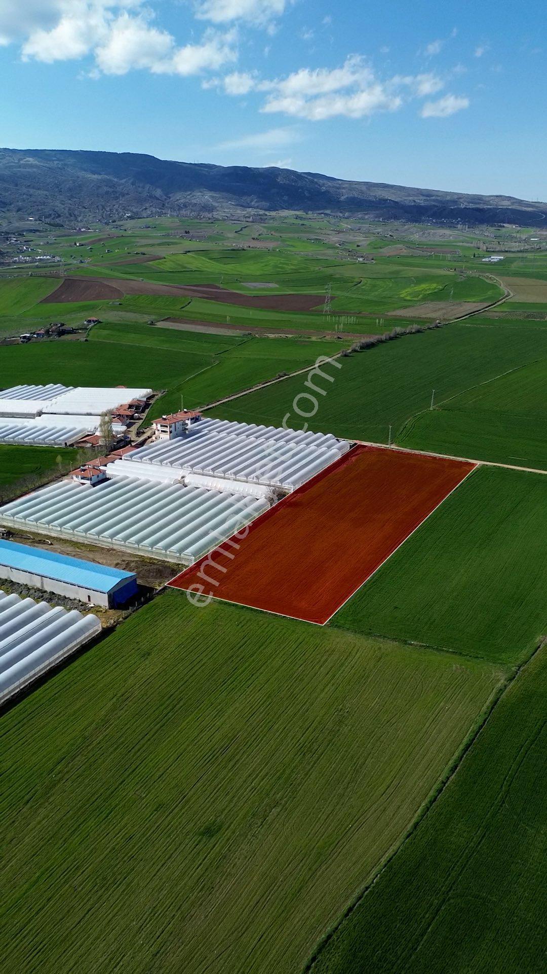 Truva'dan Çorum Altınbaş Köyü'nde 10296 M2 Sera Olabilecek Tarla - Görsel 7