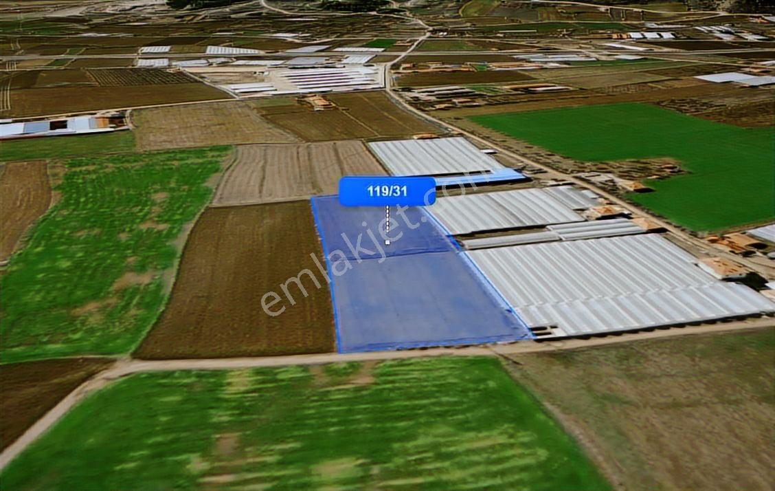 Truva'dan Çorum Altınbaş Köyü'nde 10296 M2 Sera Olabilecek Tarla - Görsel 17