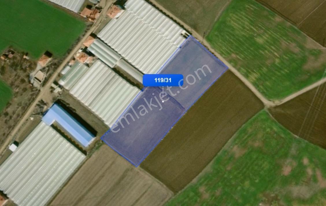 Truva'dan Çorum Altınbaş Köyü'nde 10296 M2 Sera Olabilecek Tarla - Görsel 14