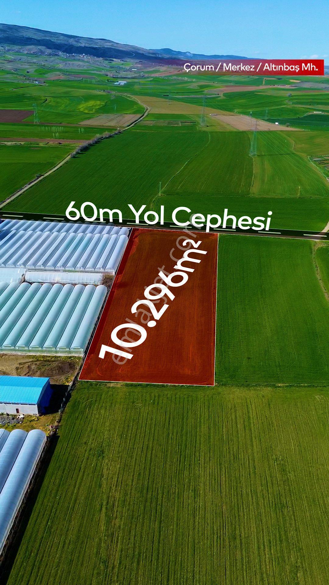 Truva'dan Çorum Altınbaş Köyü'nde 10296 M2 Sera Olabilecek Tarla - Görsel 3