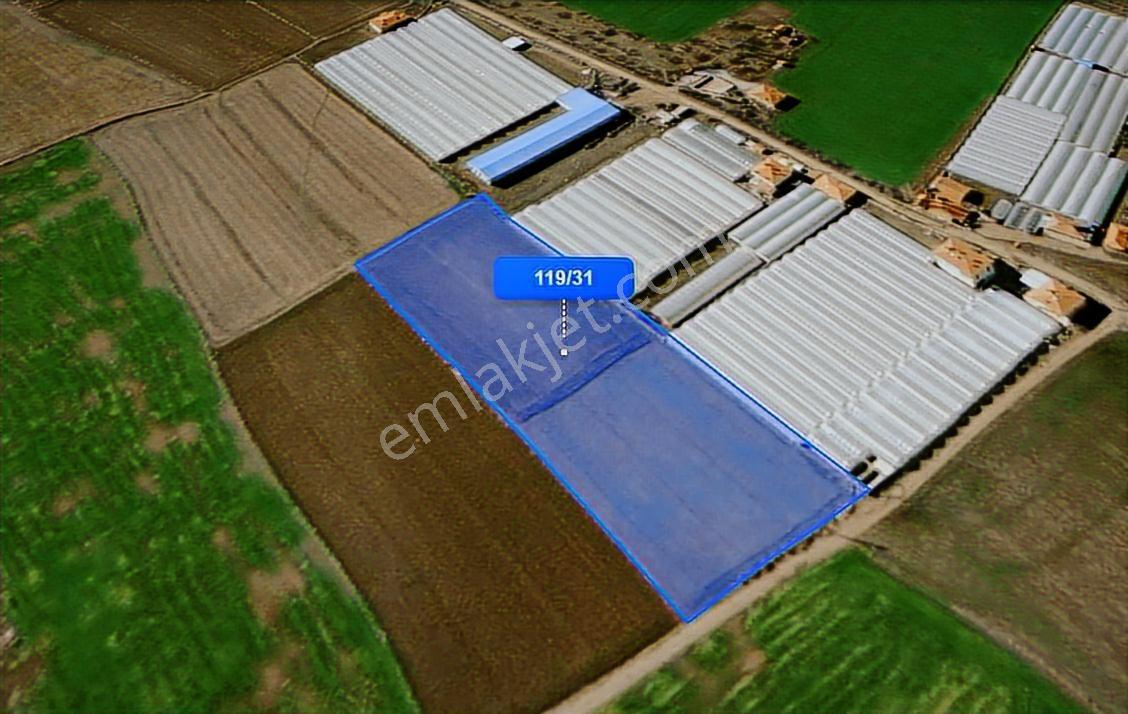 Truva'dan Çorum Altınbaş Köyü'nde 10296 M2 Sera Olabilecek Tarla - Görsel 10