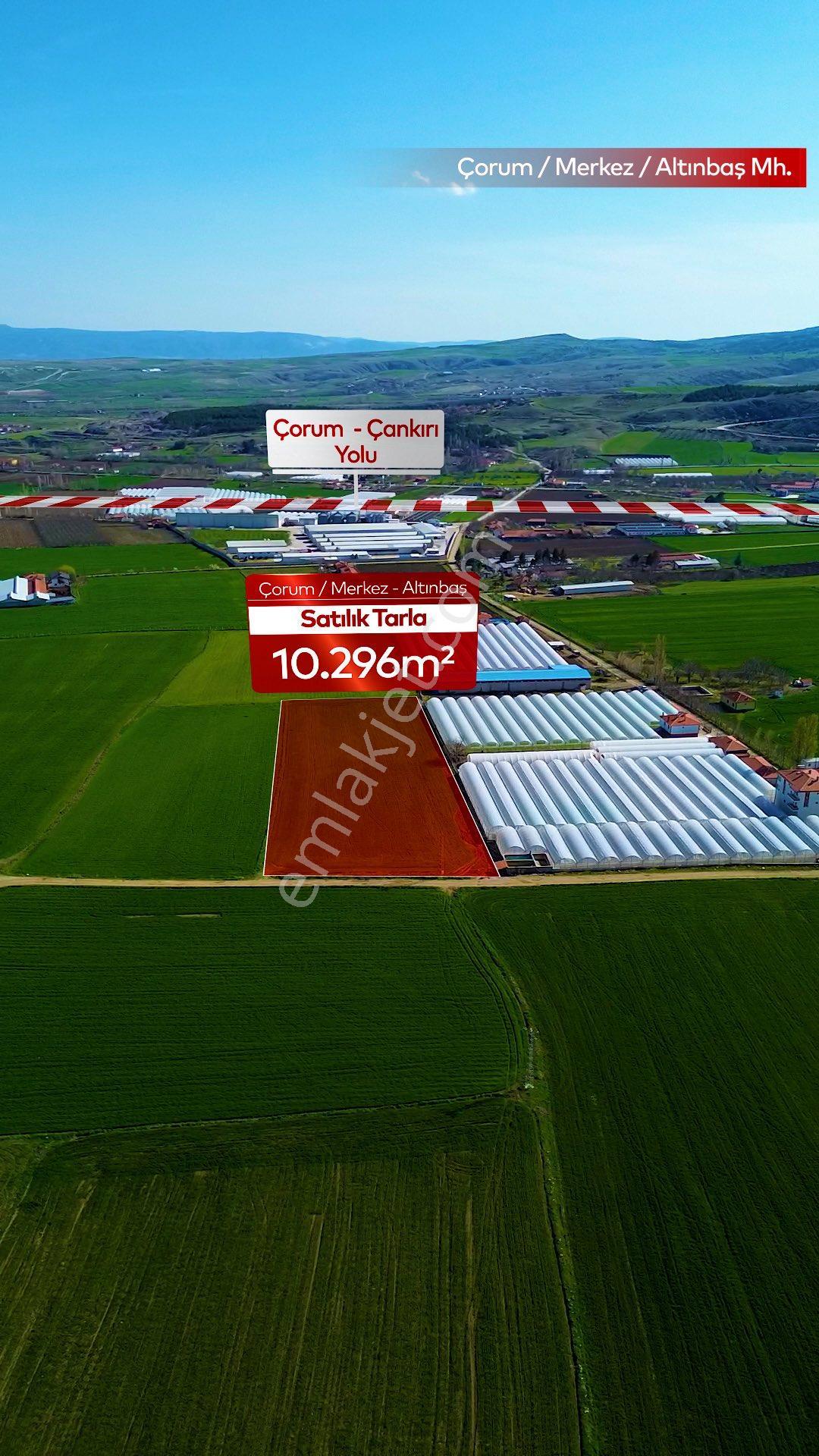 Truva'dan Çorum Altınbaş Köyü'nde 10296 M2 Sera Olabilecek Tarla - Görsel 6