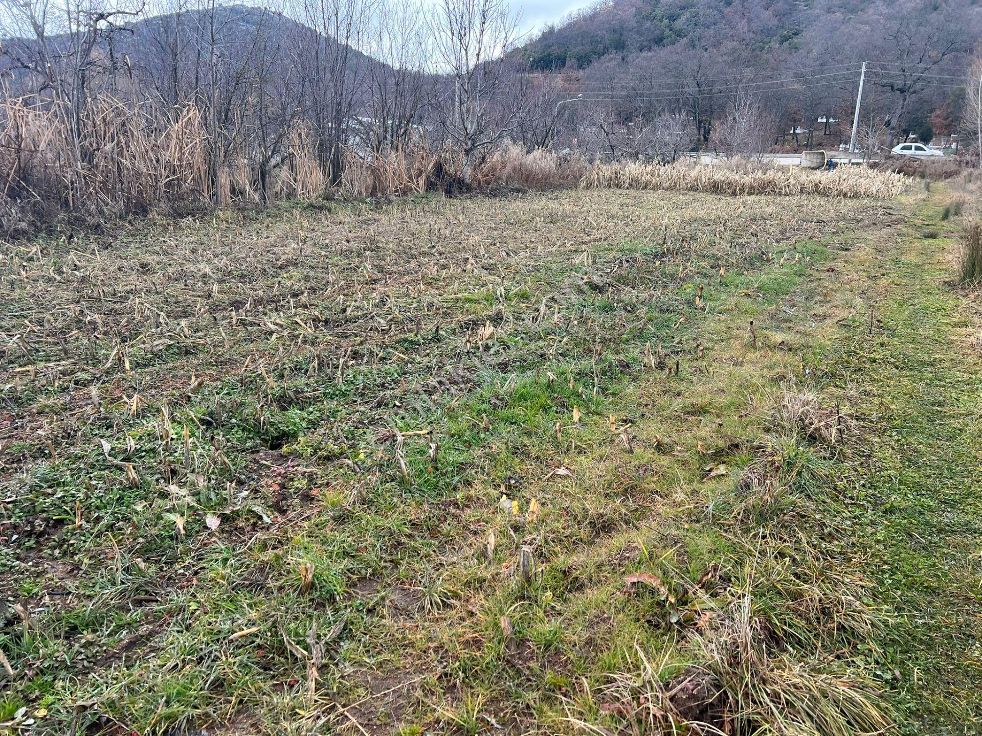 Isparta Aksu Yılanlı Köyünde Markete Yürüme Mesafesinde Satılık Tarla. - Görsel 5