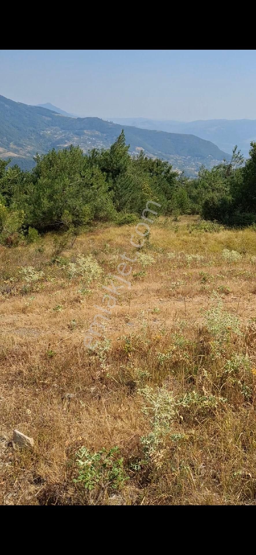 Kaçırılmayacak Yatırım Fırsatı Sahibinden 4.407 M2 Tarla - Görsel 3