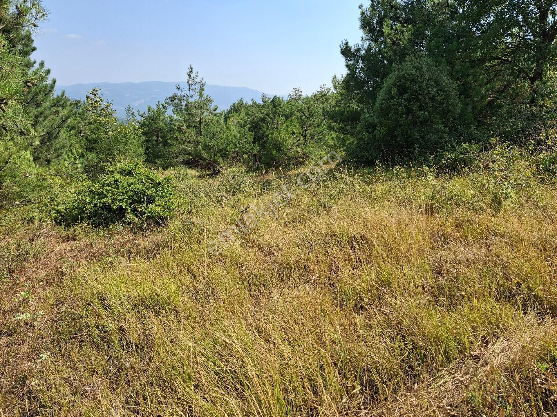 Kaçırılmayacak Yatırım Fırsatı Sahibinden 4.407 M2 Tarla - Görsel 5