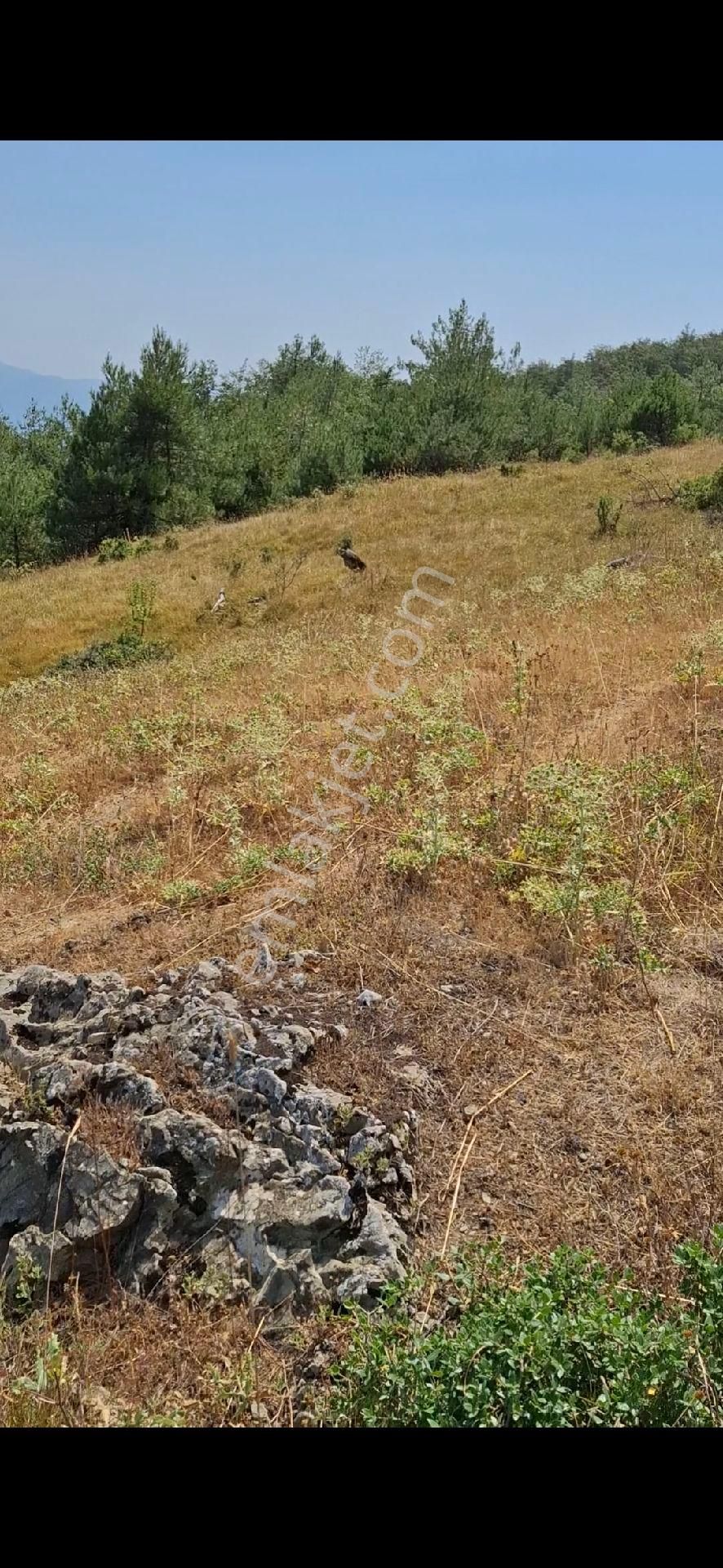 Kaçırılmayacak Yatırım Fırsatı Sahibinden 4.407 M2 Tarla - Görsel 2