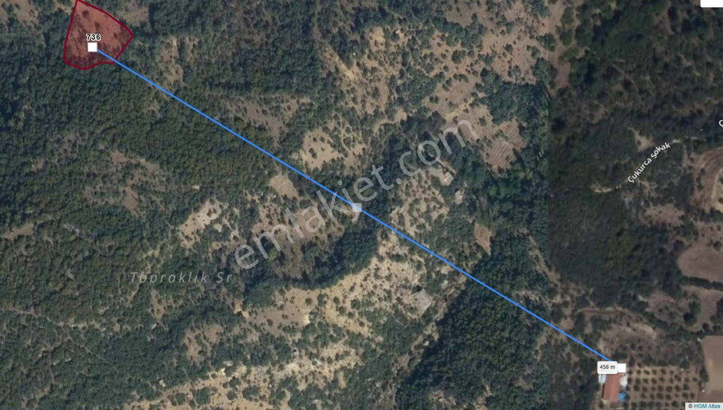 Çorum Laçinde Satılık 1680 M2 Tarla Tek Tapu - Görsel 6