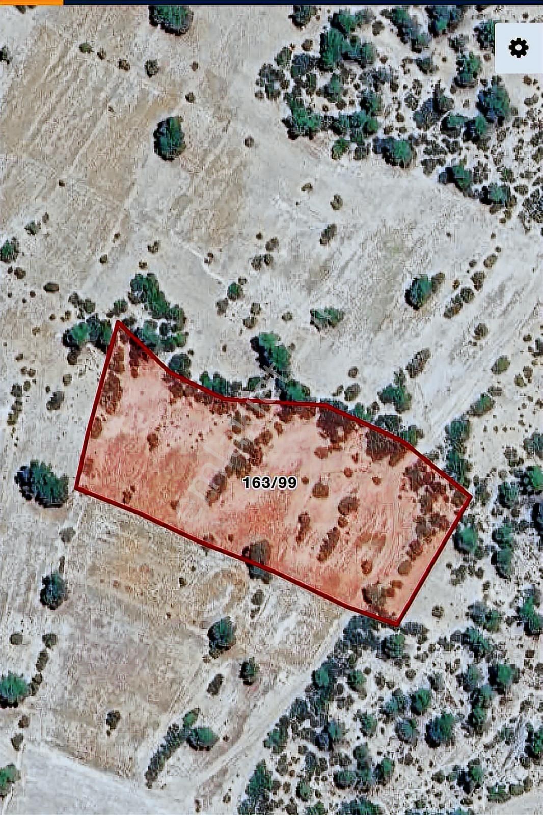 Korkuteli Kevserde 8 Dönüm Tek Tapu Tarla Yatırımlık - Görsel 2