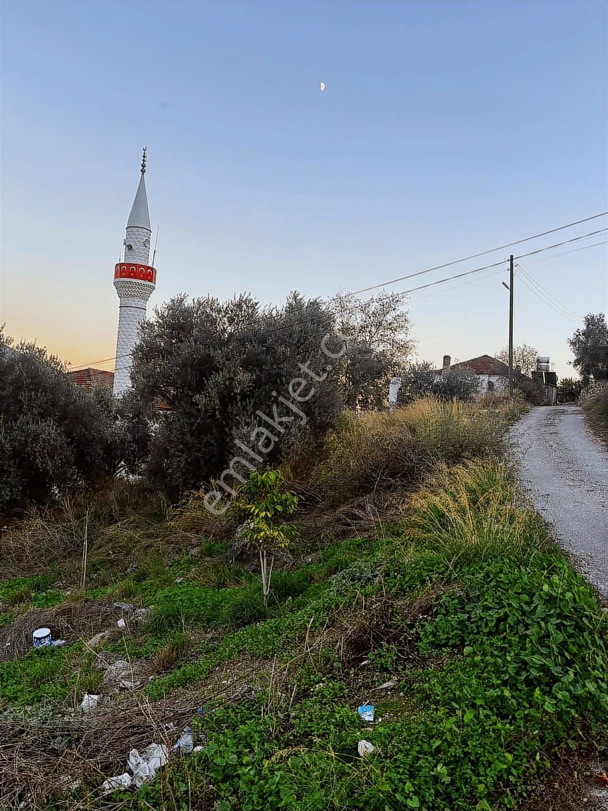 Milas Damlıboğaz Mahallesinde Satılık Arsa - Görsel 4